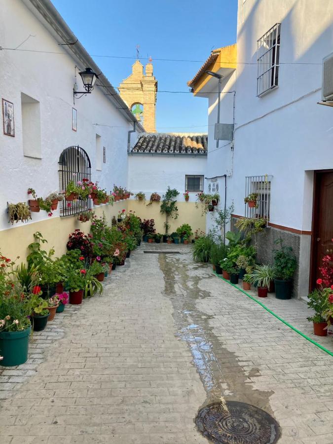 Apartamento Nuevo En Sierra Sur Sevilla Villanueva de San Juan Exteriör bild